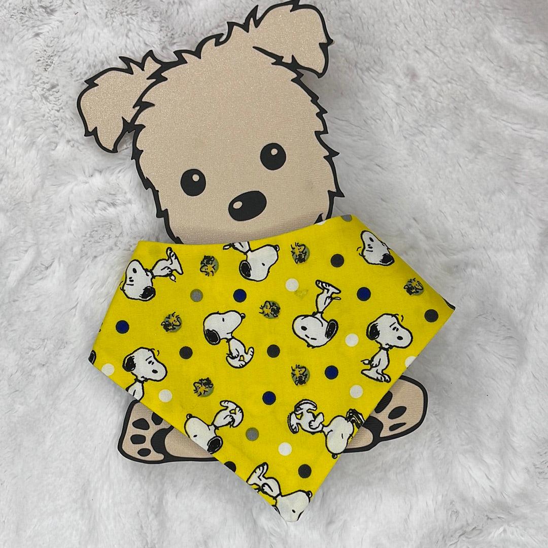 pet, pet bow tie, bandana, pet bandana, cat, dog, perro, gato, animales, tienda para mascota, accesorios para mascota, collar para perro, pet collar, lazo para perro, bow for dog, riverview, pet friendly, dog collar sale, dog mom life, pet parents, pet dog