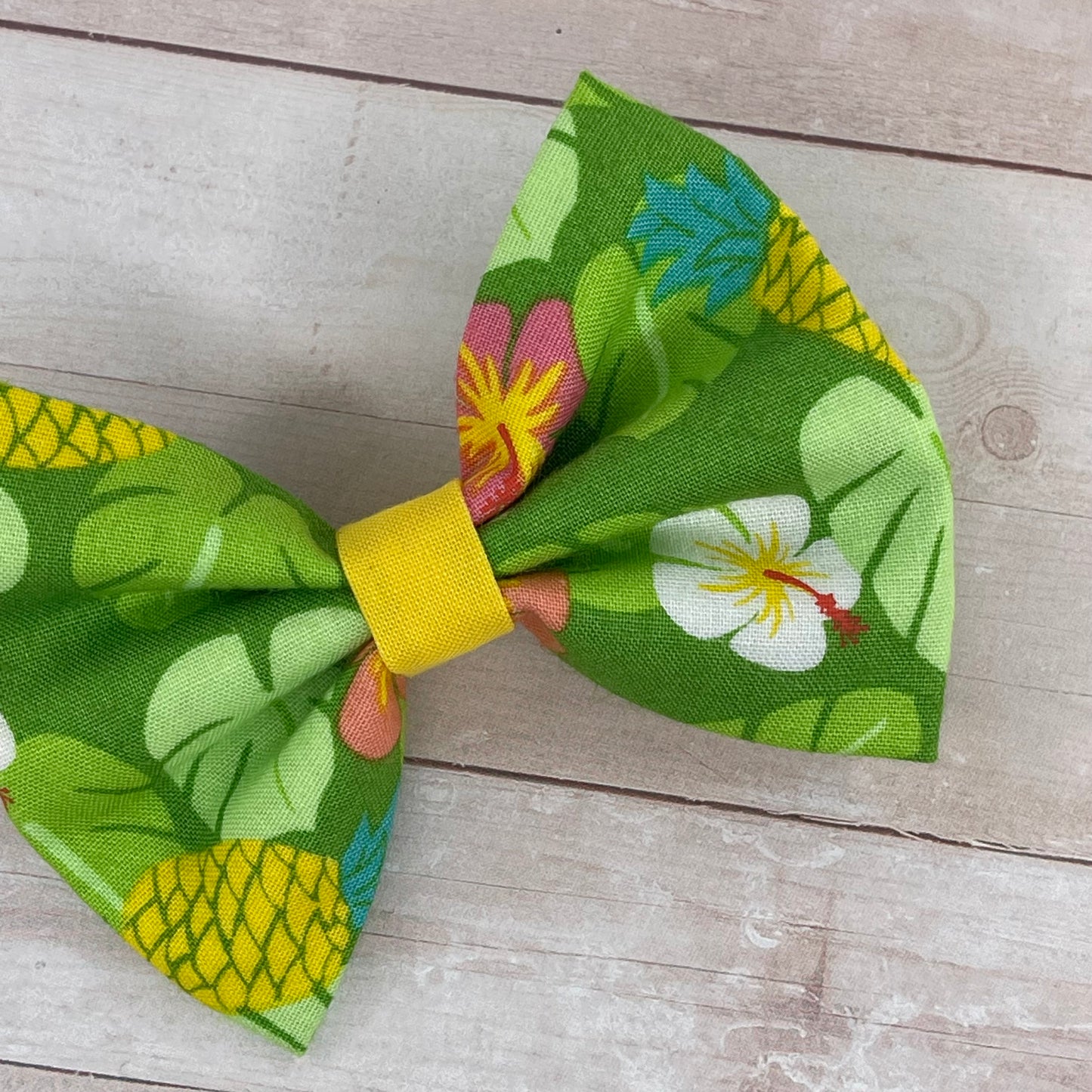 Tropical regular bow